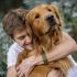 Loving man outdoors hugging his Golden Retriever dog and looking very happy